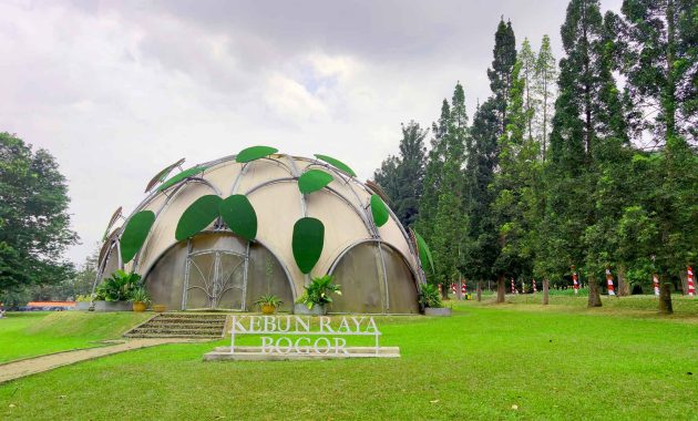 Foto : kebunraya.id