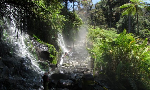 Jalur Pendakian Gunung Pangrango. Foto : gedepangrango.org