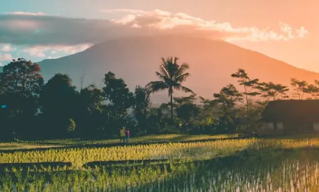 Gunung Cikuray Pagi Hari. Foto : @twowanders / IG