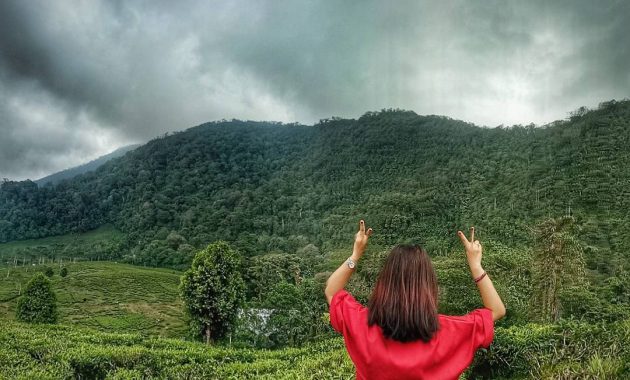 Kebun Teh Ciliwung. Foto : wurry.d / IG